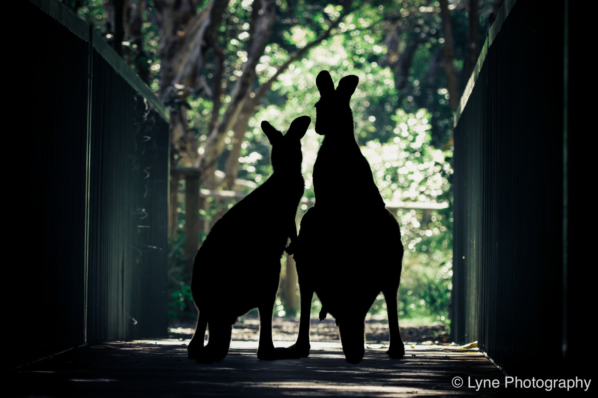 Australia